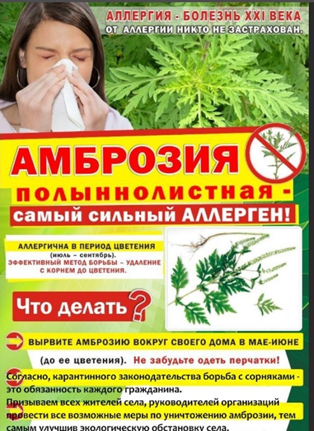 foto 2025 07 21 17 06 2